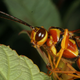 Image for article titled 10 Real-Life Creatures and the Horror Movies They Should Star In